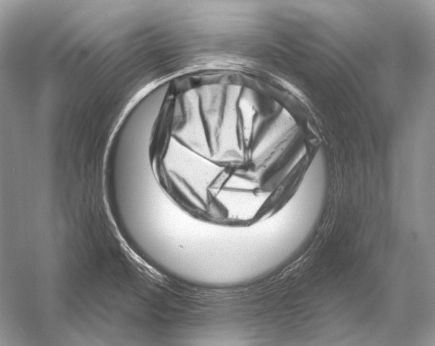 X0000052931471200508050816