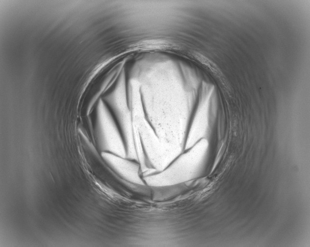 X0000052931473200508050816