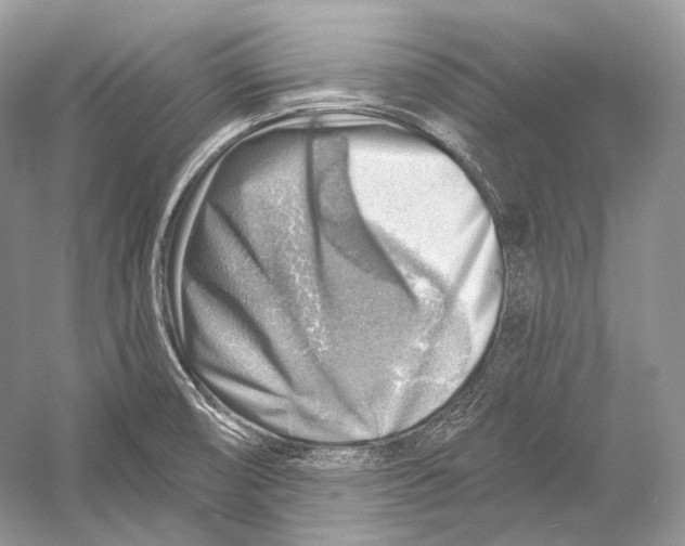 X0000052931474200508050816
