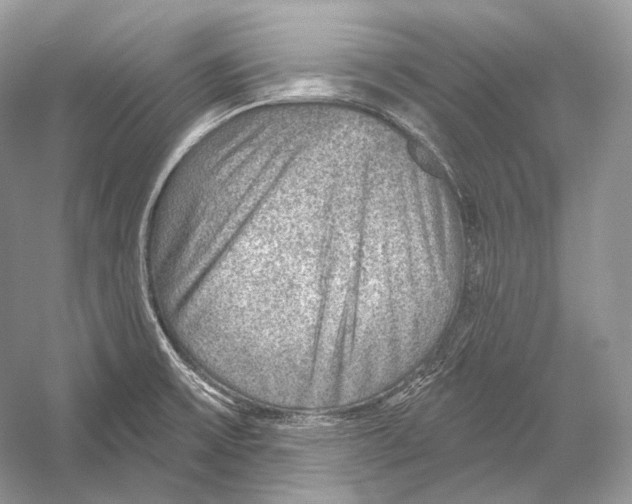 X0000052931475200508050816