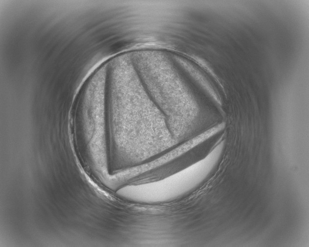 X0000052931476200508050816