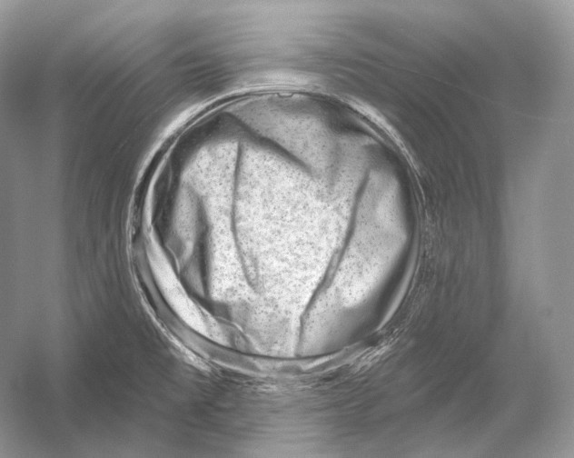 X0000052931477200508050816