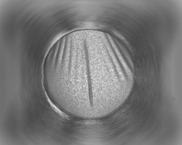 X0000052931479200508050816