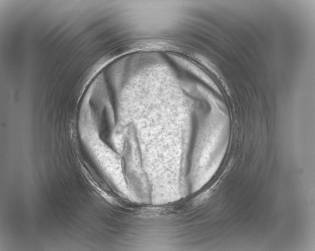 X0000052931481200508050816