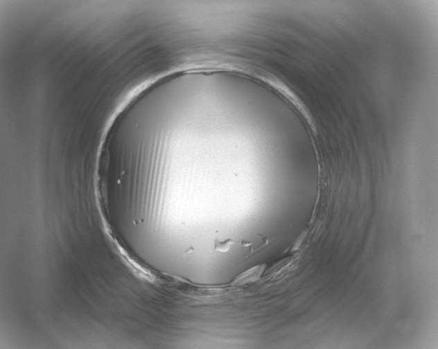 X0000052931485200508050816