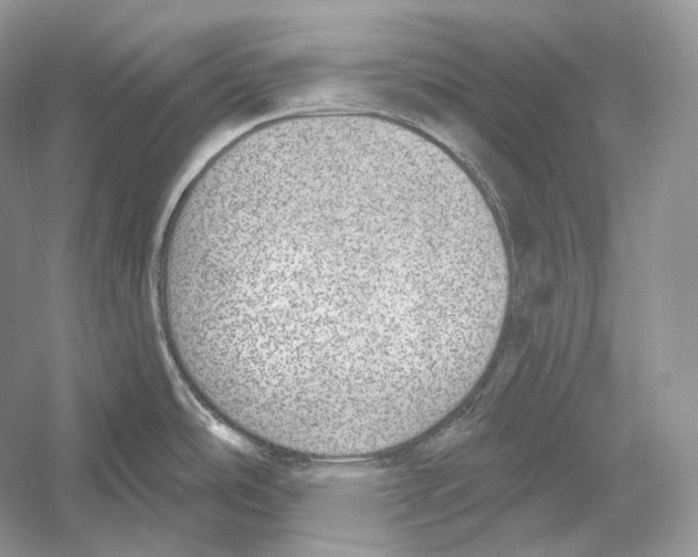X0000052931486200508050816