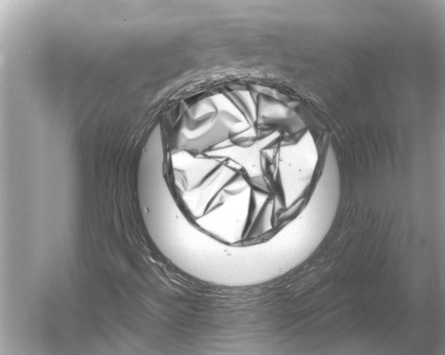 X0000052931492200508050815