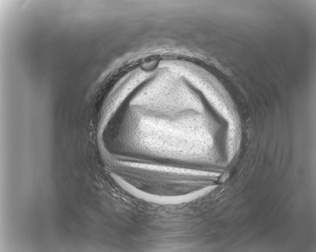 X0000052931495200508050815