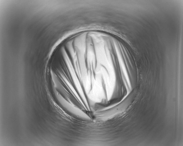 X0000052931510200508050816