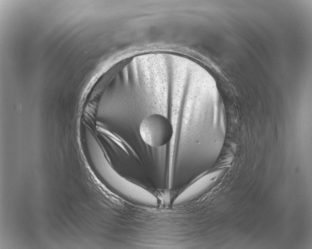 X0000052931512200508050816