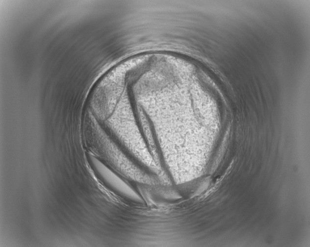 X0000052931513200508050816