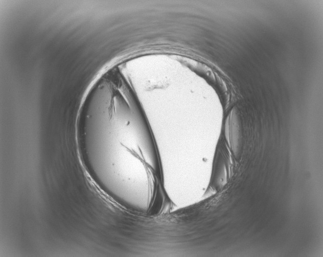 X0000052931514200508050816