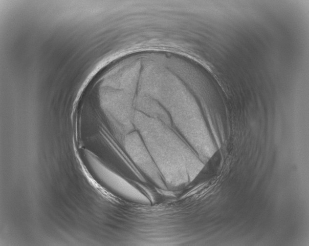 X0000052931515200508050816