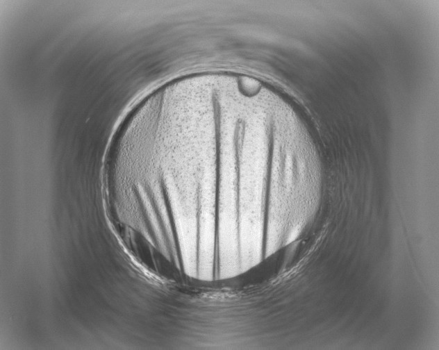 X0000052931517200508050816
