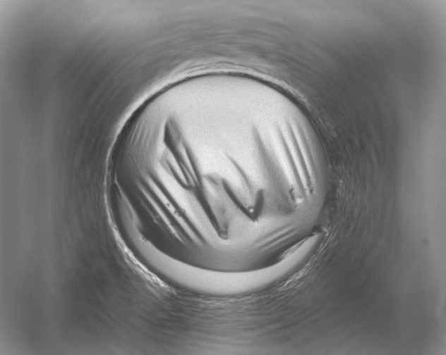 X0000052931518200508050816