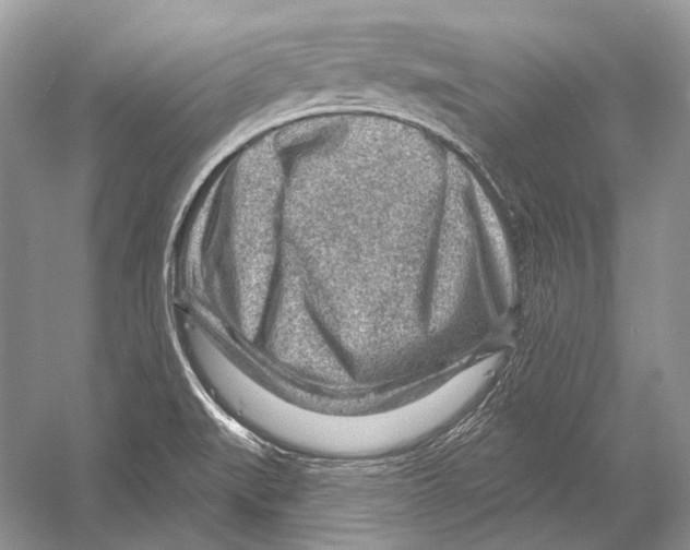 X0000052931519200508050816