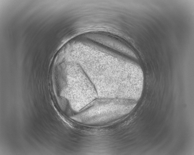 X0000052931521200508050816