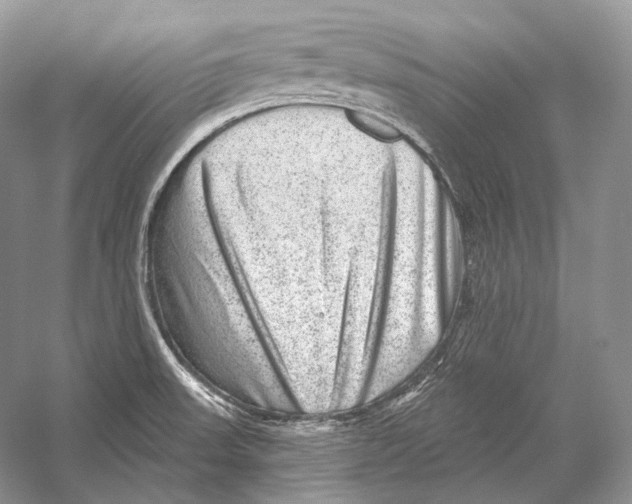 X0000052931523200508050816