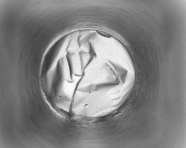 X0000052931536200508050816