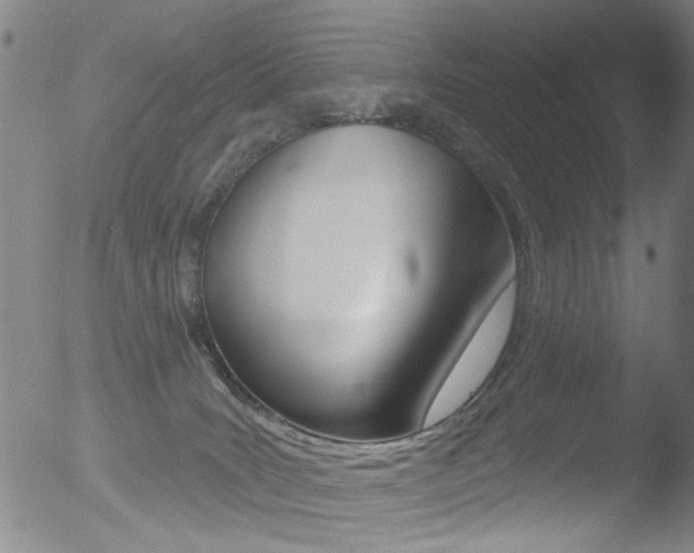 X0000052940035200507080813