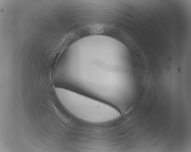 X0000052940598200507080803