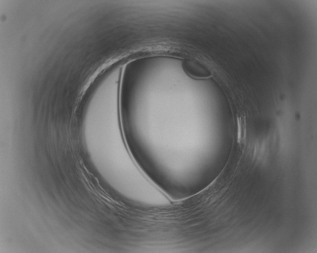 X0000052940723200507080801