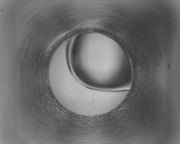 X0000052940872200507080759