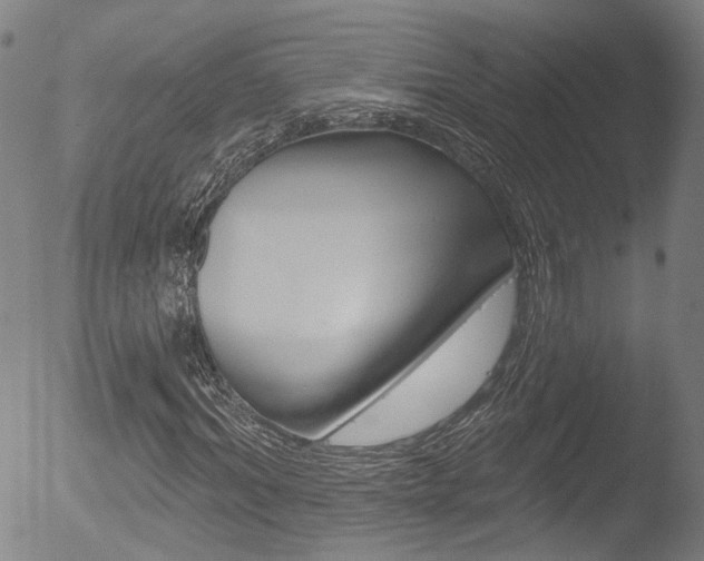 X0000052940964200507080757