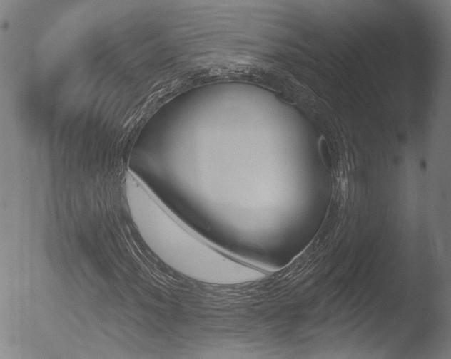 X0000052941012200507080756