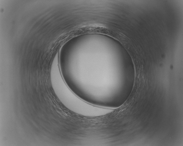 X0000052941014200507080756