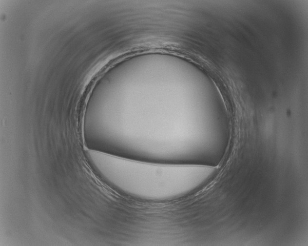 X0000052941023200507080756