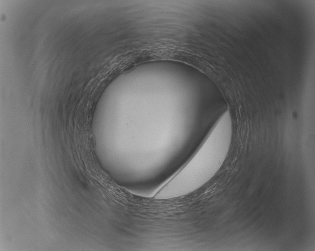 X0000052941057200507080756