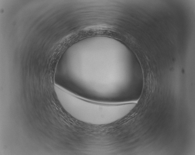 X0000052941062200507080756