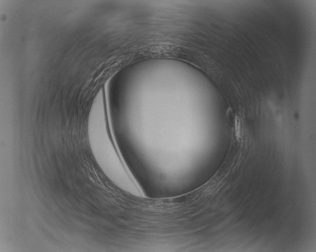 X0000052941107200507080754