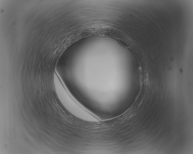X0000052941108200507080754
