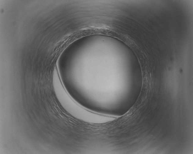 X0000052941110200507080754