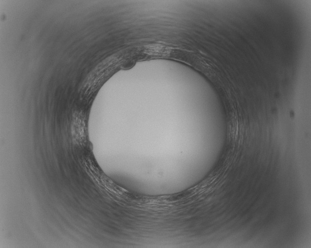 X0000052941154200507080754