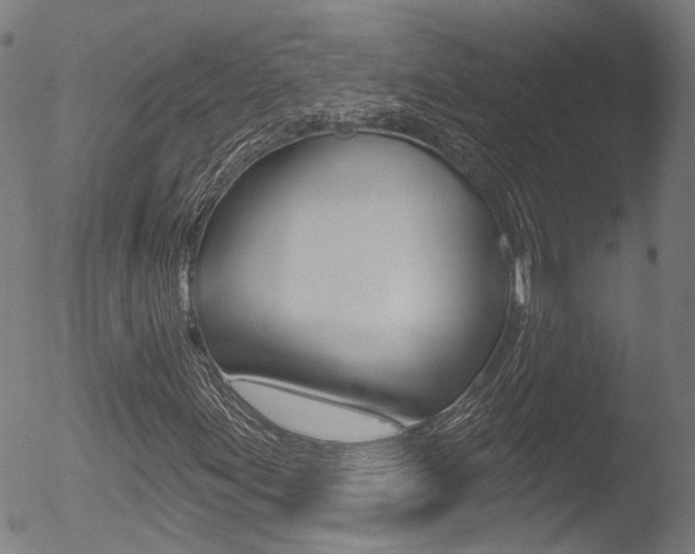 X0000052941155200507080754