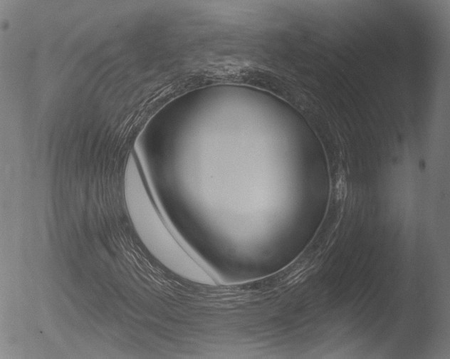 X0000052941156200507080754