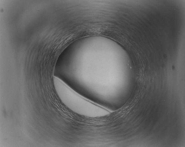 X0000052941201200507080753