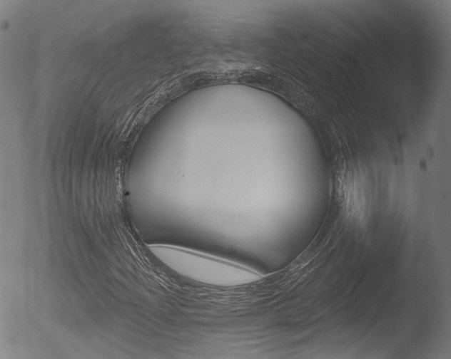 X0000052941204200507080753