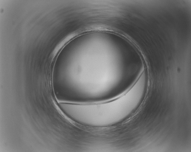 X0000052941293200507080752