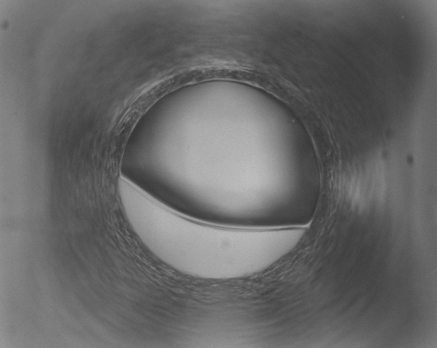 X0000052941303200507080751