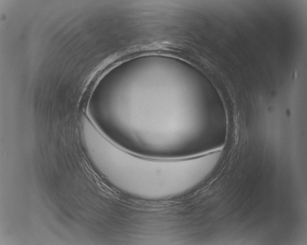 X0000052941308200507080751