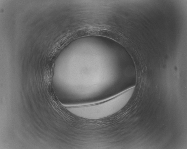 X0000052941348200507080751