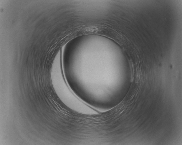 X0000052941394200507080749