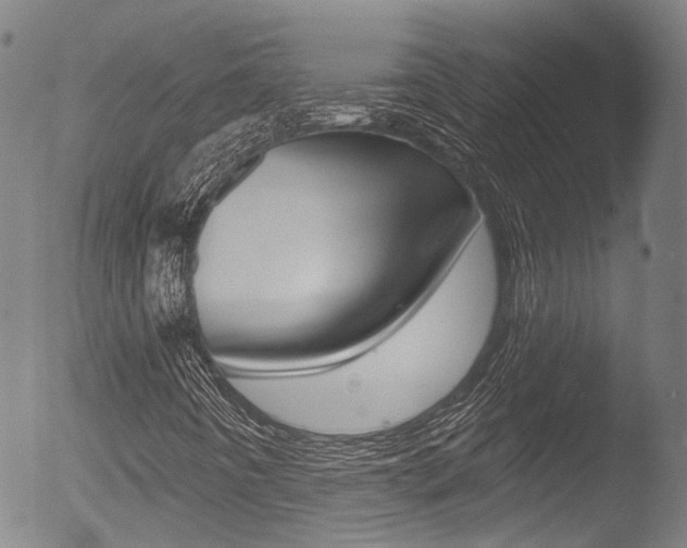 X0000052941442200507080749