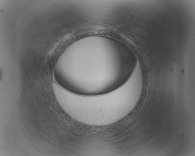 X0000052941447200507080749