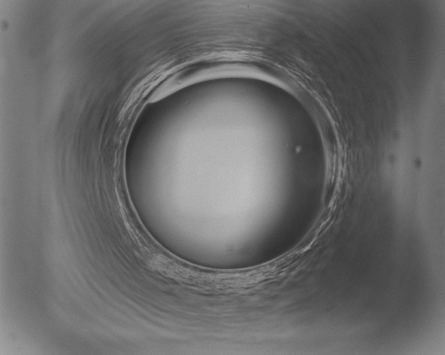 X0000052940001200507081156