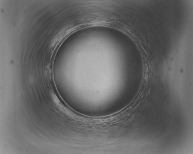 X0000052940002200507081156